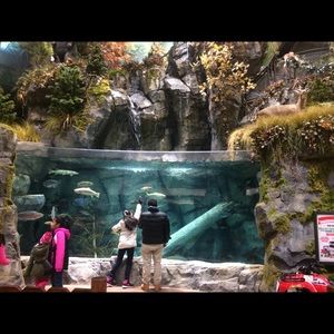 Meet your Posher, Jenn